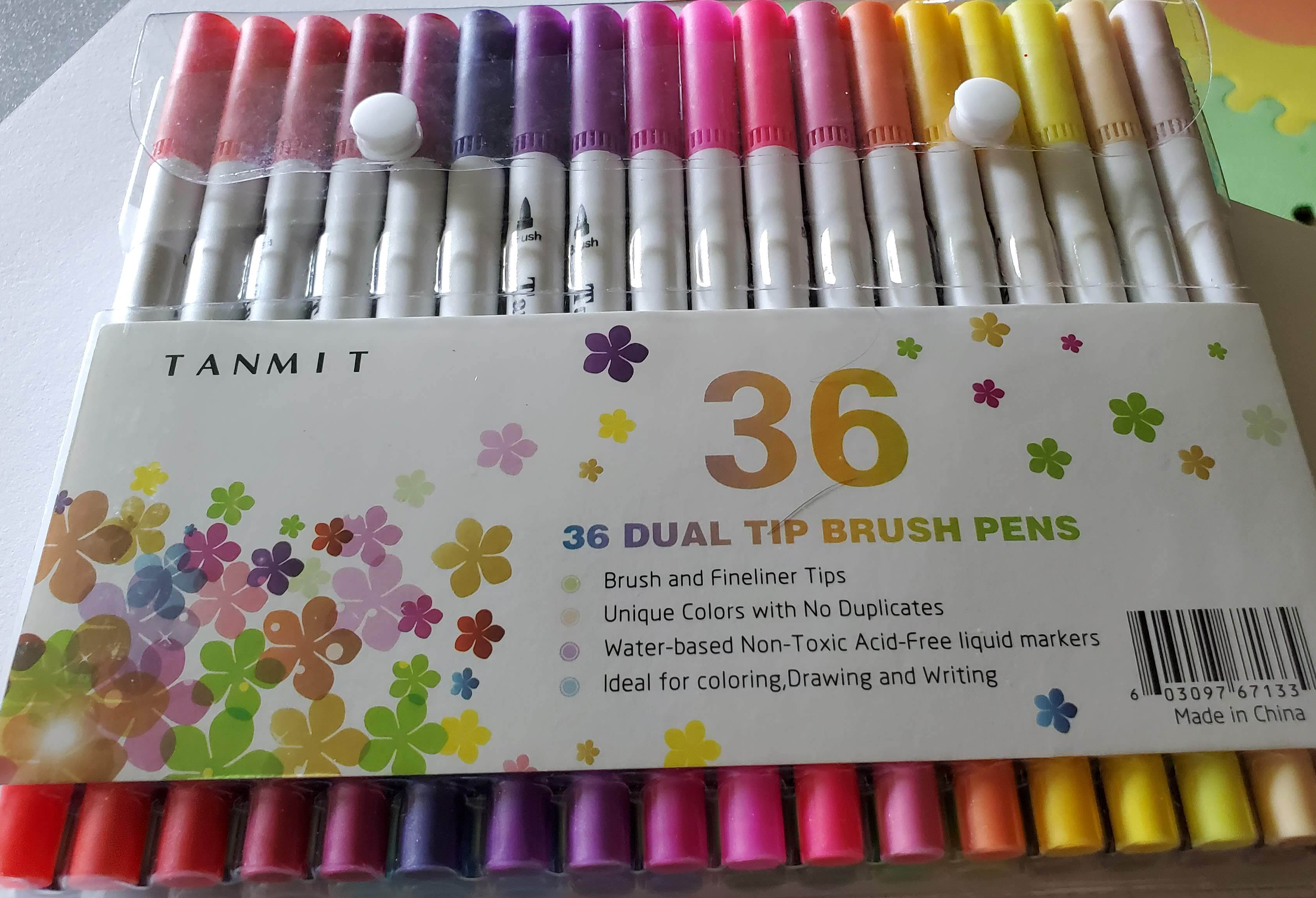 Hot Selling 36 Colors Dual Tip Watercolor Brush Marker Pens for Bullet  Journal & Coloring Book - China Dual Tip Brush Marker, Dual Tip Brush Pen