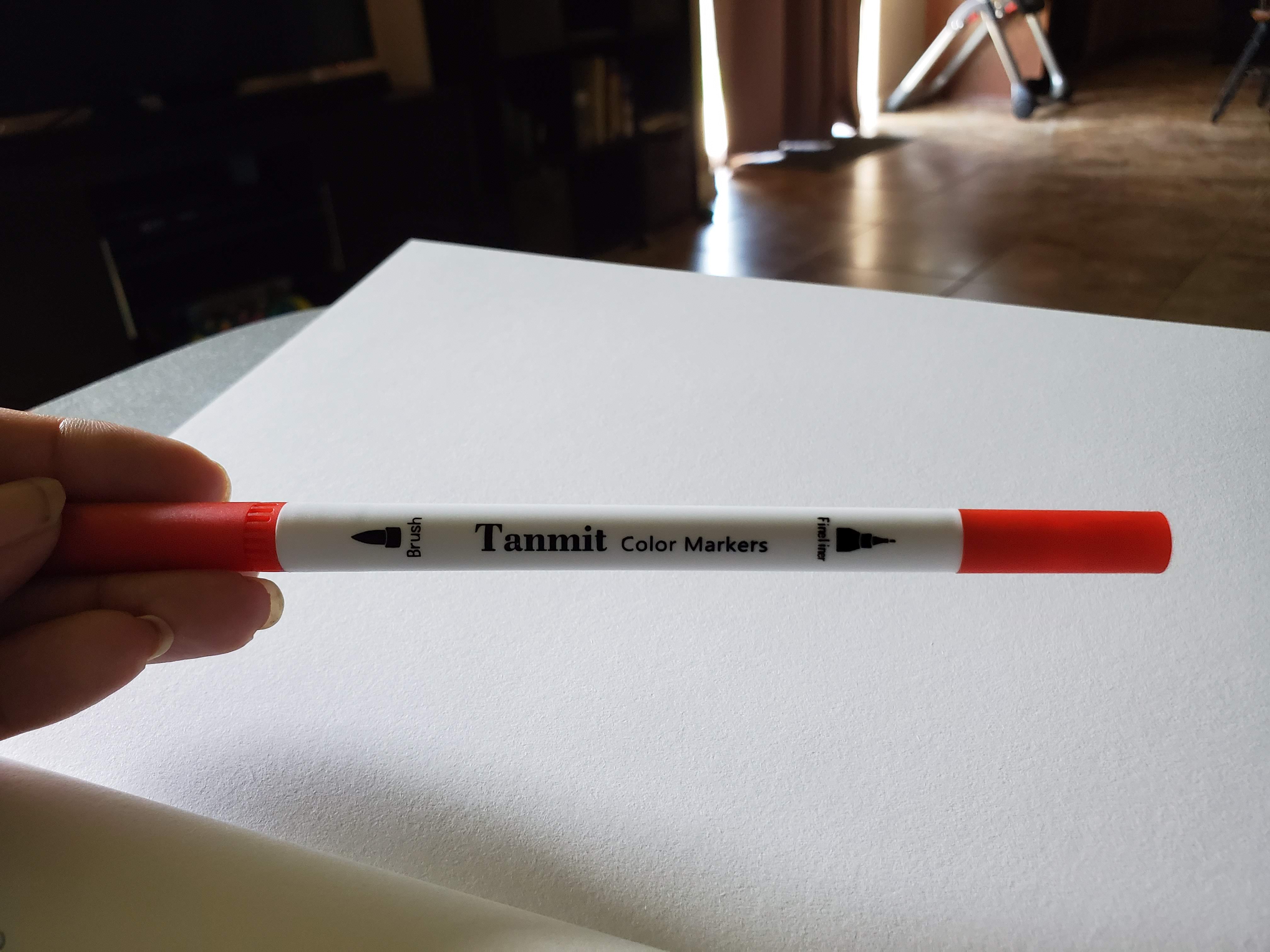 Review: Tanmit Dual Tip Brush Pens – NoSanchez's Blog